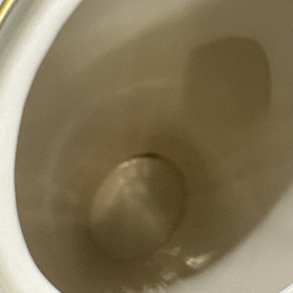 Frederik Lunning E Challinor Porcelain Coffee Pot w/ Lid 7.5" Floral Design Vtg - Picture 11 of 12